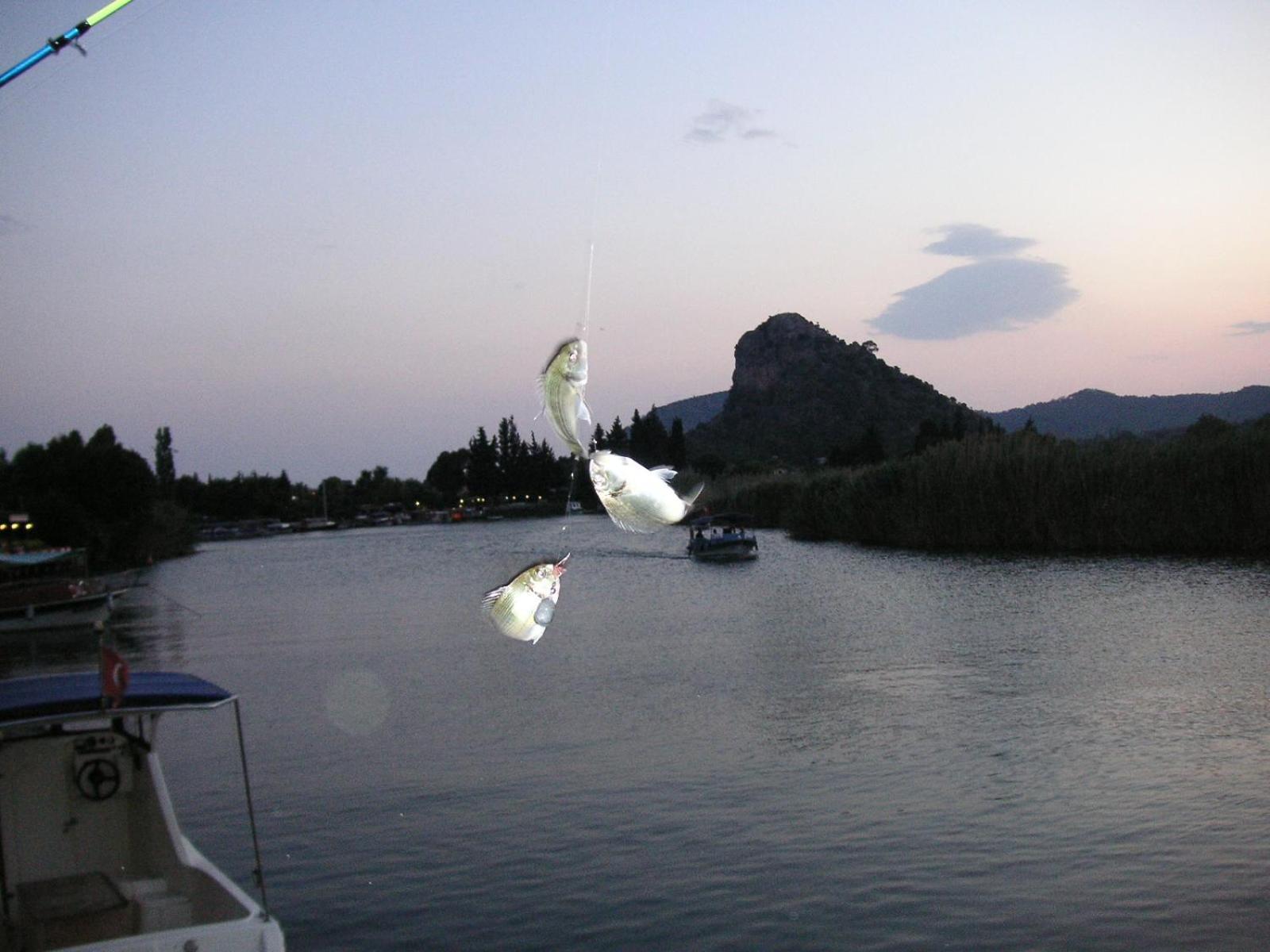 Onder Pansiyon Dalyan Εξωτερικό φωτογραφία